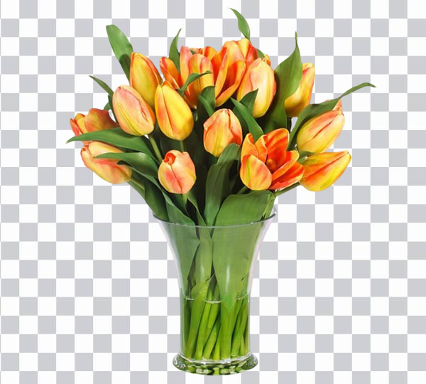 Tulip Flowers, Bouquet of yellow tulips png free