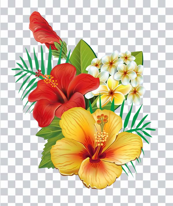 Hibiscus Flower png, Flowers Bouquet, green, leaves,<br> nature, red and yellow hibiscus flowers png free