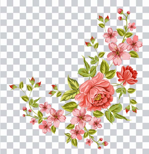 Pink flowers, flower branch png free